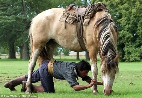 horsefuck|Horse fucks woman in the pussy and cums in her .